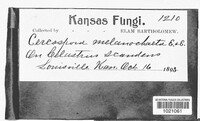 Image Associated With the Occurence